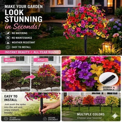 🔥 Last Day Sale Price | Turn Your Garden Into a Colorful Paradise