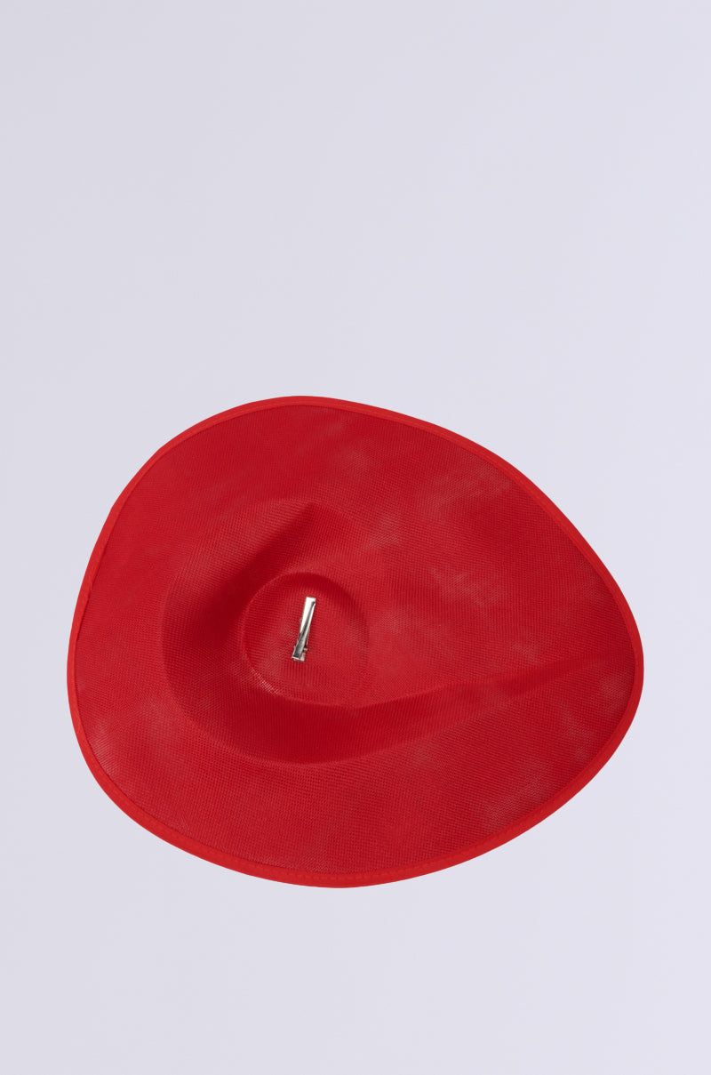 BLUSHING EDITORIAL CLIP ON HAT