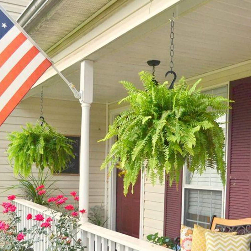 🔥Oversized Pre-Lit Artificial Boston Ferns --No watering, No fading