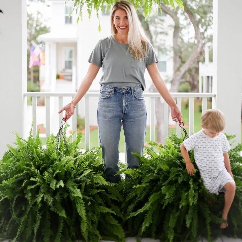 🔥Oversized Pre-Lit Artificial Boston Ferns --No watering, No fading